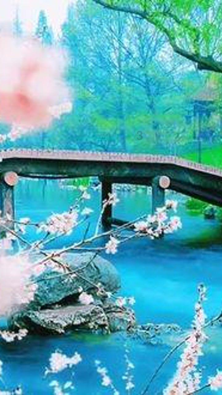 探索误吞口香糖会造成什么样的后果?应该如何处理?,解决难题得心应手